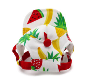 Colorful Pet Fruitilicious Hat