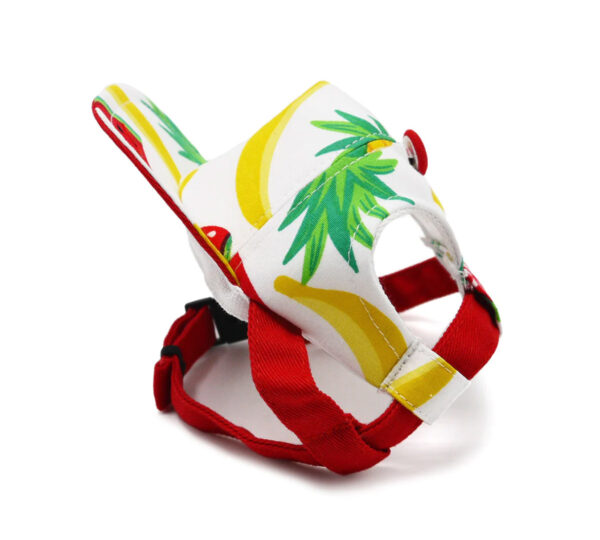 p1-2 Colorful Pet Fruitilicious Hat