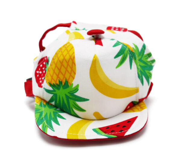 p1 Colorful Pet Fruitilicious Hat