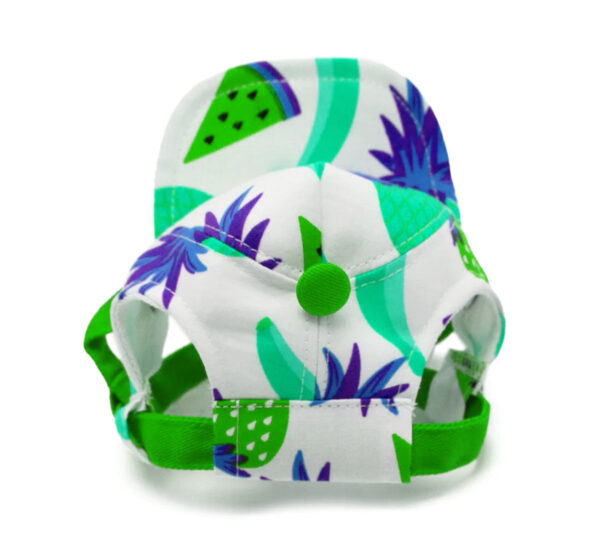 p1-green Colorful Pet Fruitilicious Hat