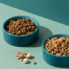 Premium Pate Puppy Recipe