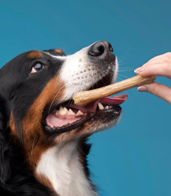 Duck Flavour Cat Treats
