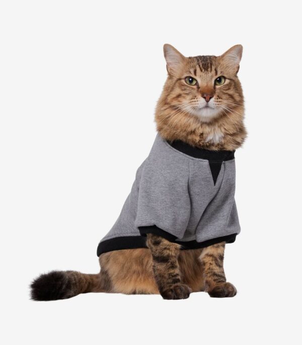 Luxe Crewneck Dog & Cat Sweatshirt