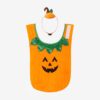 Pumpkin Dog & Cat Costume