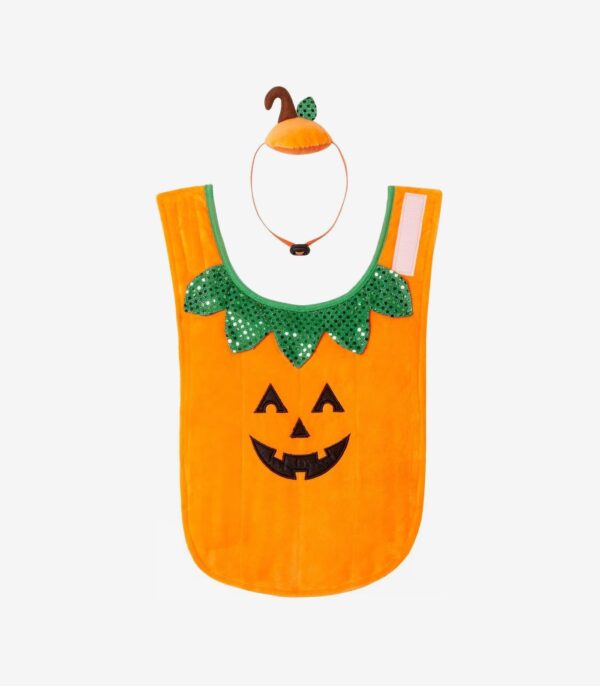 Pumpkin Dog & Cat Costume
