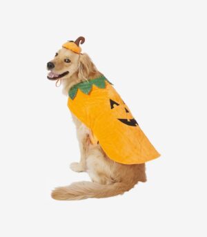 Pumpkin Dog & Cat Costume
