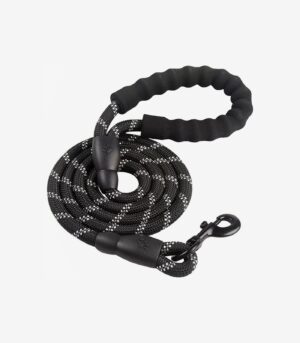 Braided Rope Dog Leash, 5-ft long