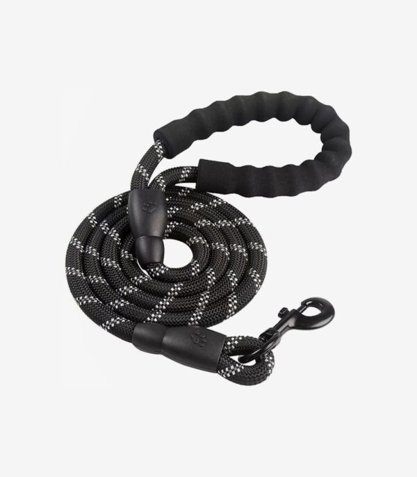Braided Rope Dog Leash, 5-ft long